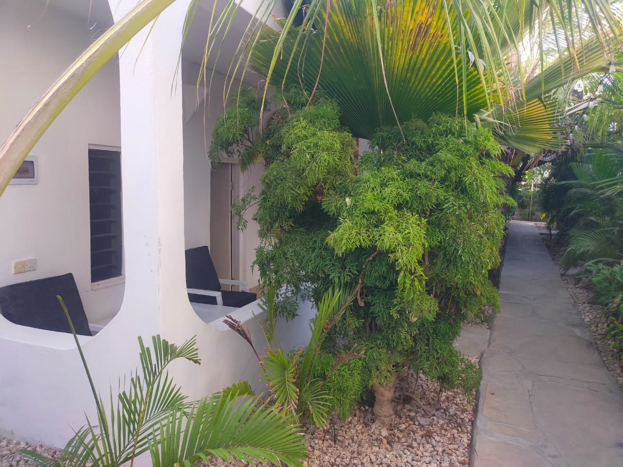 Arica Palm Hotel Gallery Image